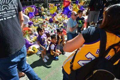 DSC_7175 (Large).JPG